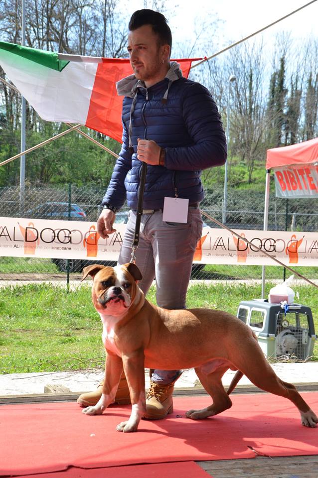 Tappa 1 1 (61)