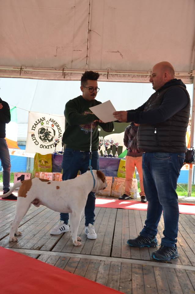 Tappa 1 1 (65)