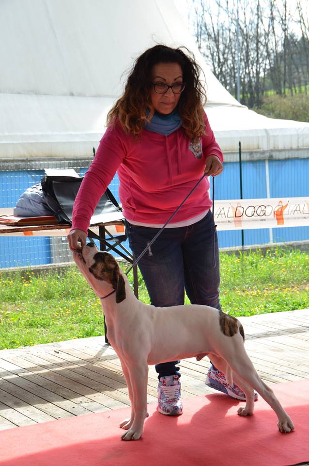 Tappa 1 1 (83)